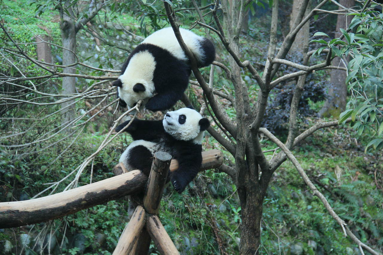 想新配眼镜,问网上哪家强,求推荐