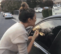 莫得灵魂的彩虹.战斗鸡.火焰凤凰.有没有大胆的想法.抱一个,不抱揍你.