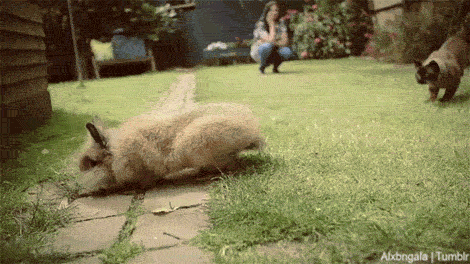 470_264gif 动态图 动图