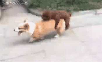 【囧图】210期 这是第一次感受到 - acfun弹幕视频网 - 认真你就输啦