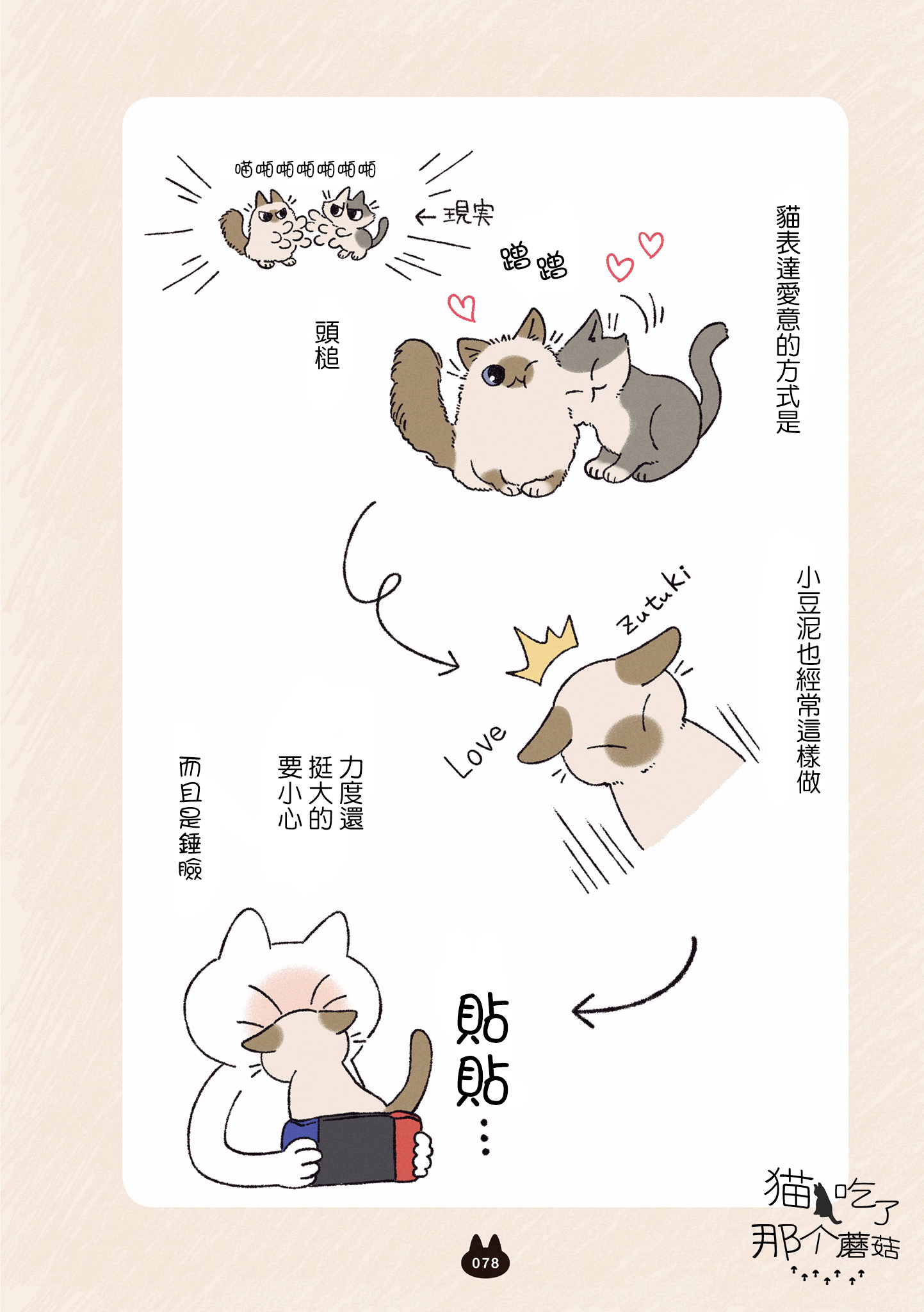 漫画暹罗猫小豆泥是世界的中心05①②③