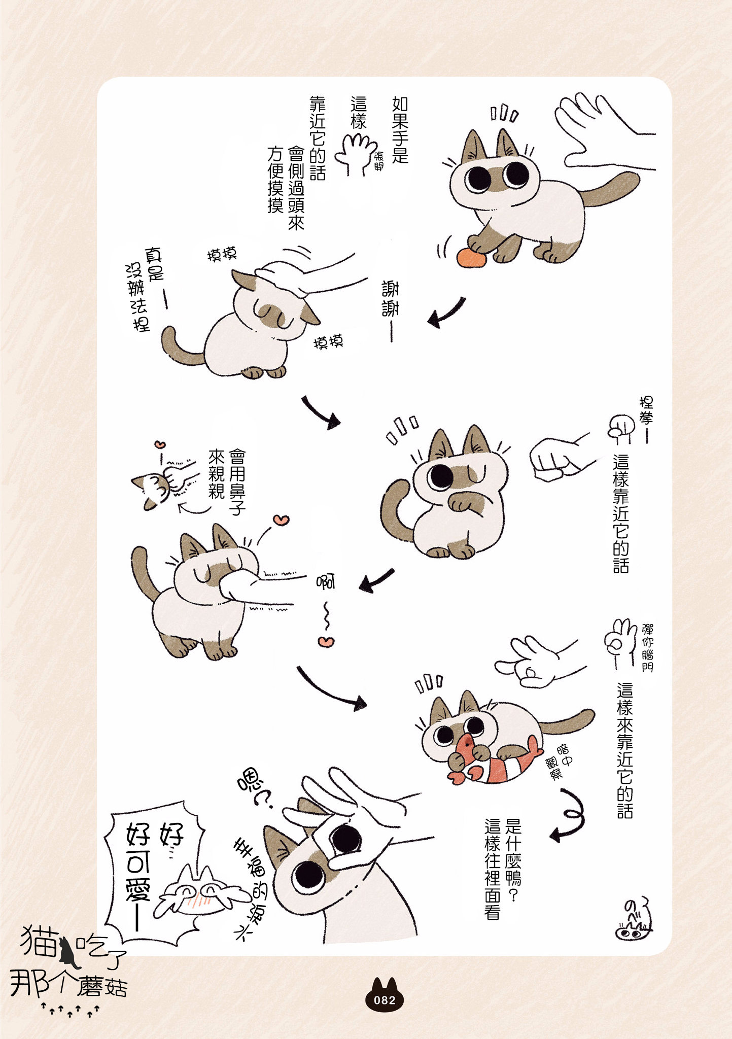 漫画暹罗猫小豆泥是世界的中心05①②③