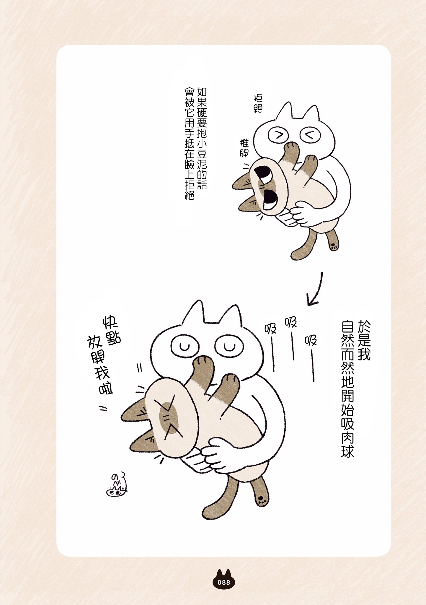 漫画暹罗猫小豆泥是世界的中心05①②③