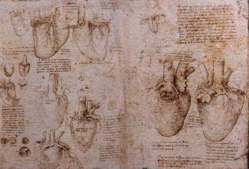 达芬奇睡眠法每天只睡15小时我们也能是天才