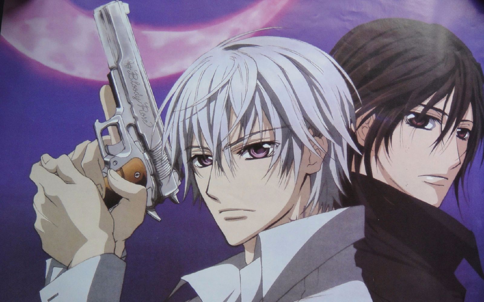 03《吸血鬼骑士》-玖兰枢&锥生零作为《伤物语》中一个烦了会啃自己