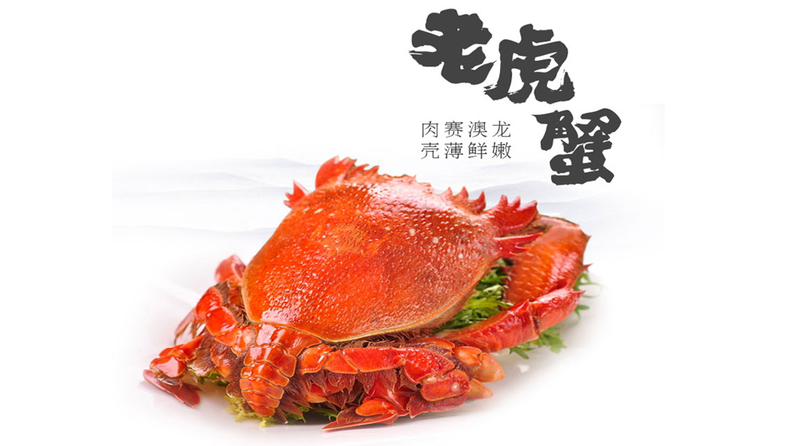 什么螃蟹比较好吃 大闸蟹还是梭子蟹 全球40种可食用蟹大全 29种国内螃蟹 11种全球顶级螃蟹大全 Acfun弹幕视频网 认真你就输啦