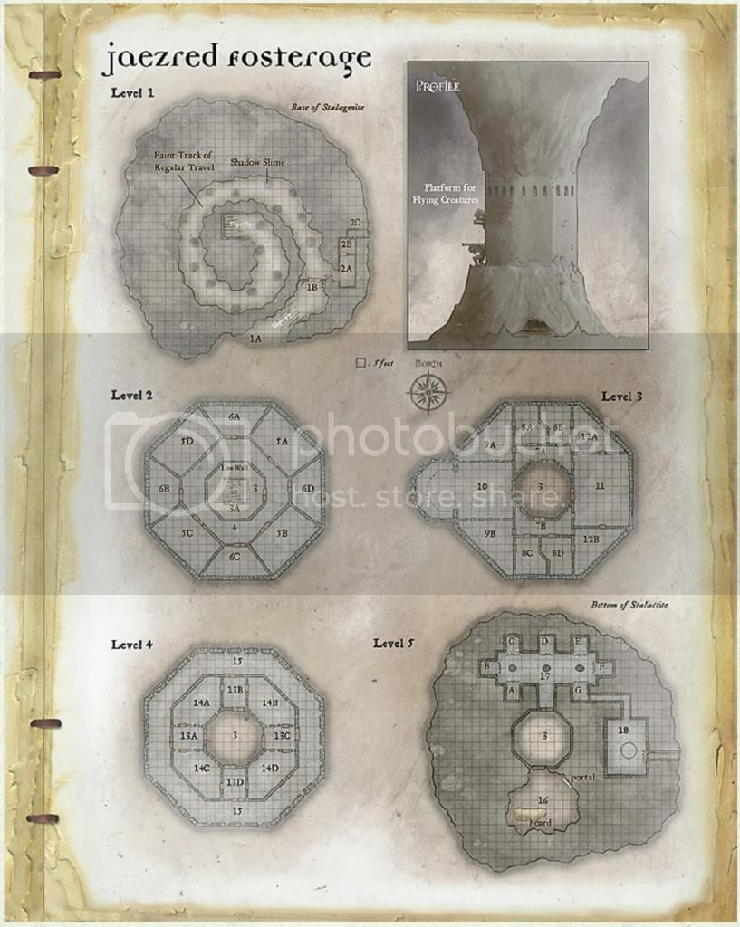 龙与地下城DND龙系费伦的龙——那些有名的巨龙们（十一）