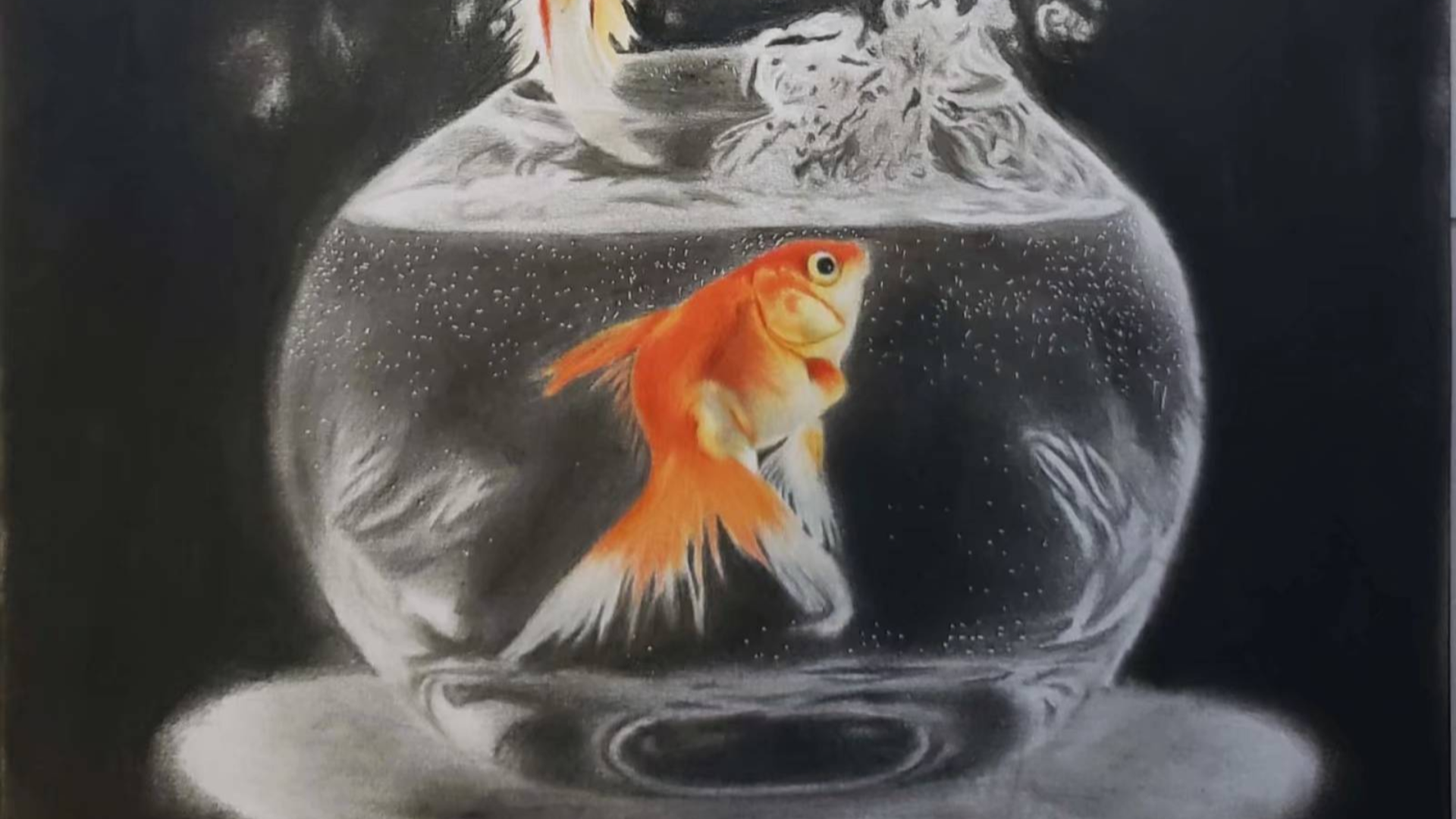 【彩铅手绘】鱼缸和金鱼