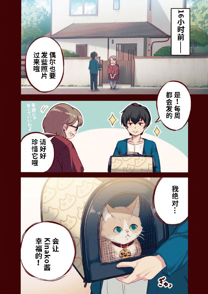 40原老师猫娘漫画化第一话 我家有猫猫啦nga玩家社区