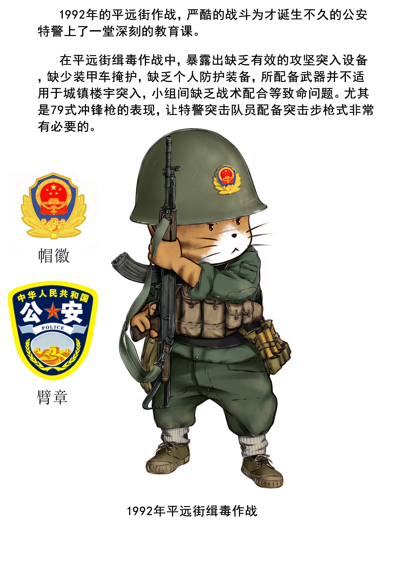 中国公安特警武警发展史漫画版转载