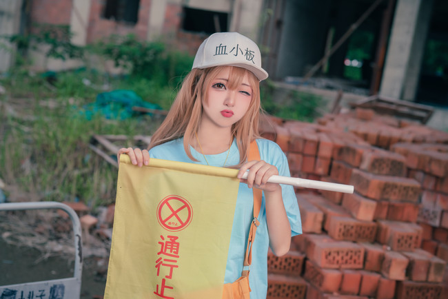 cos工作细胞血小板白细胞