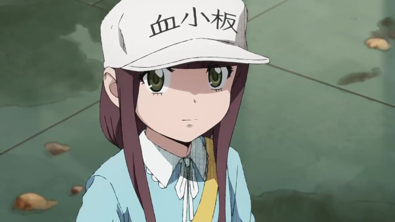 工作细胞black将推出tv动画白血球大姐姐来袭