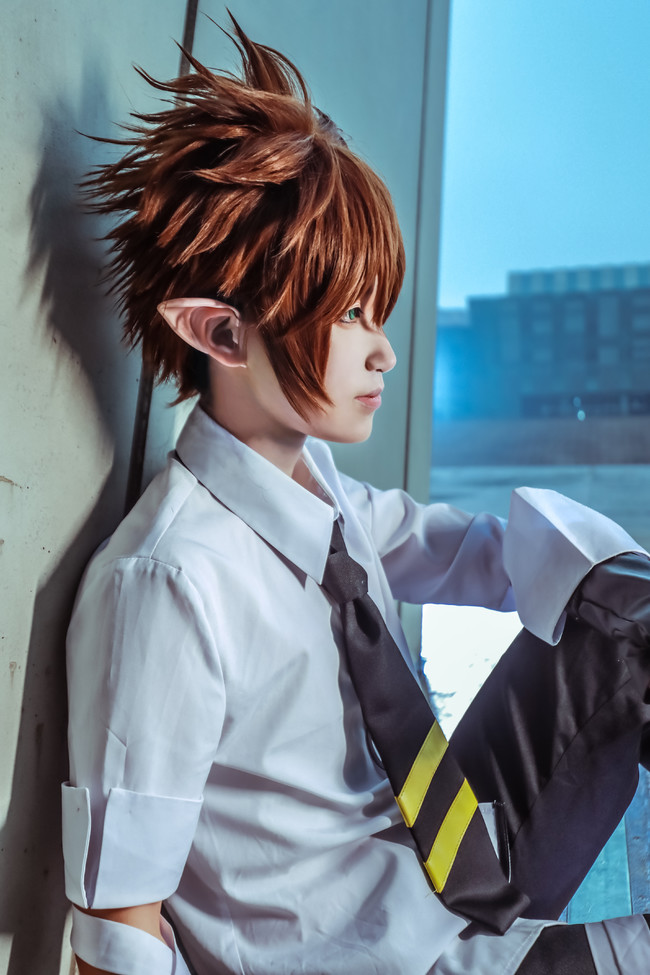 cos凹凸世界雷狮x安迷修