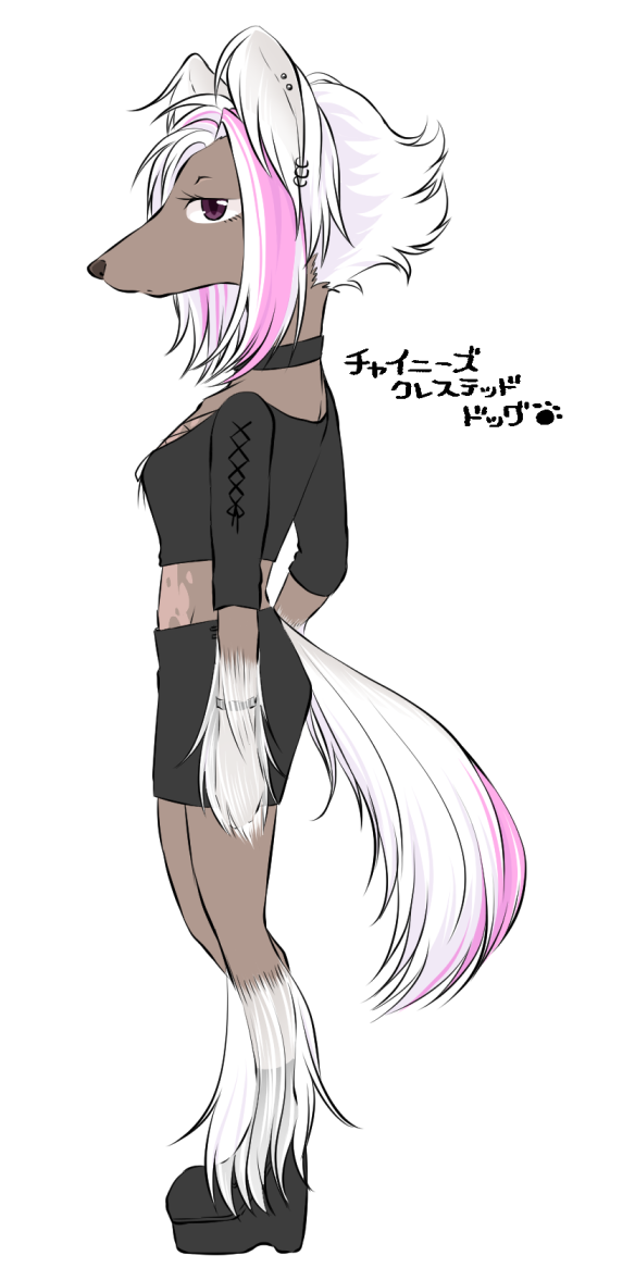 图集furry雌性兽人犬种图鉴