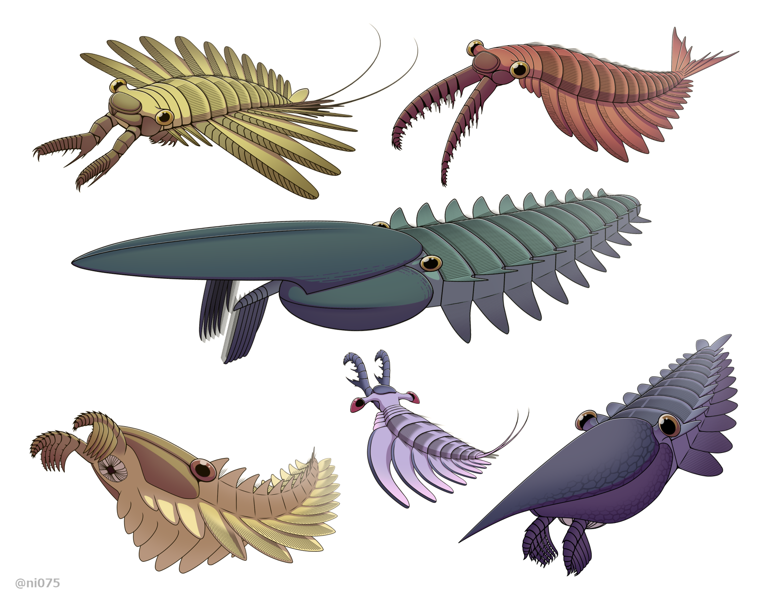 寻奇录古生物学三大妖孽内克虾塔利怪物提丰怪物