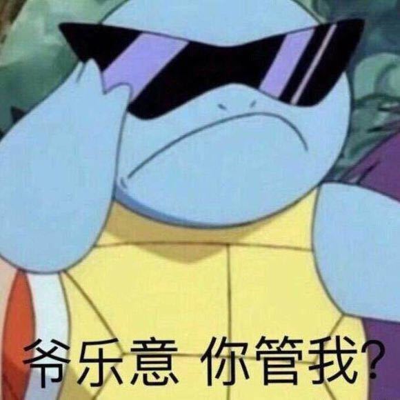 杰尼龟表情包