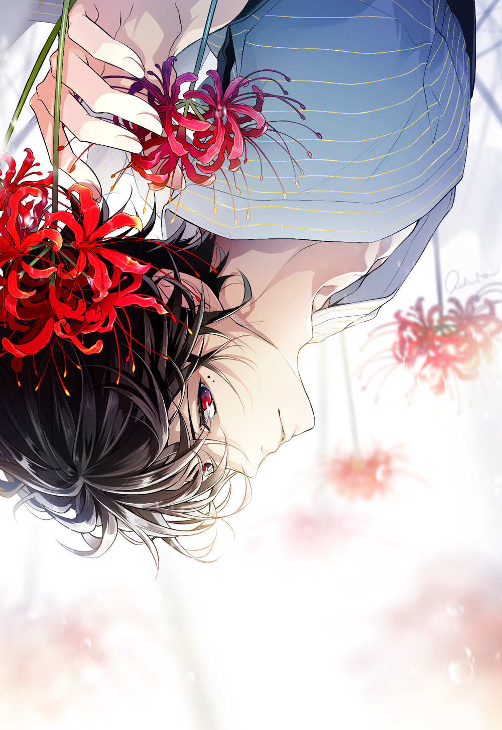 彼岸花开壁纸推荐向2