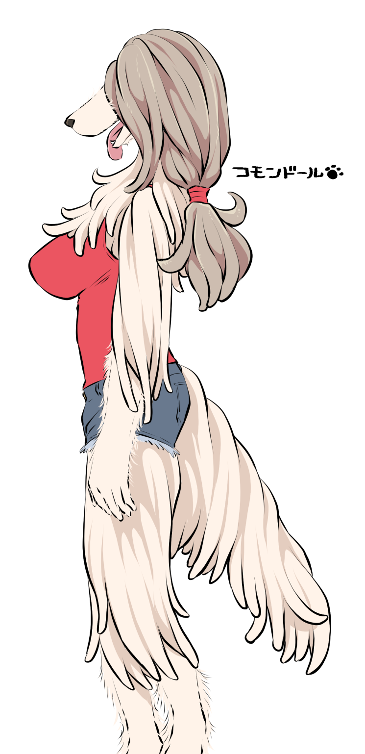 图集furry雌性兽人犬种图鉴