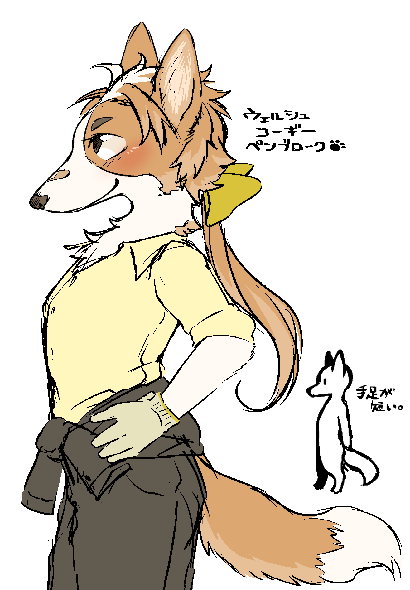 图集furry雌性兽人犬种图鉴