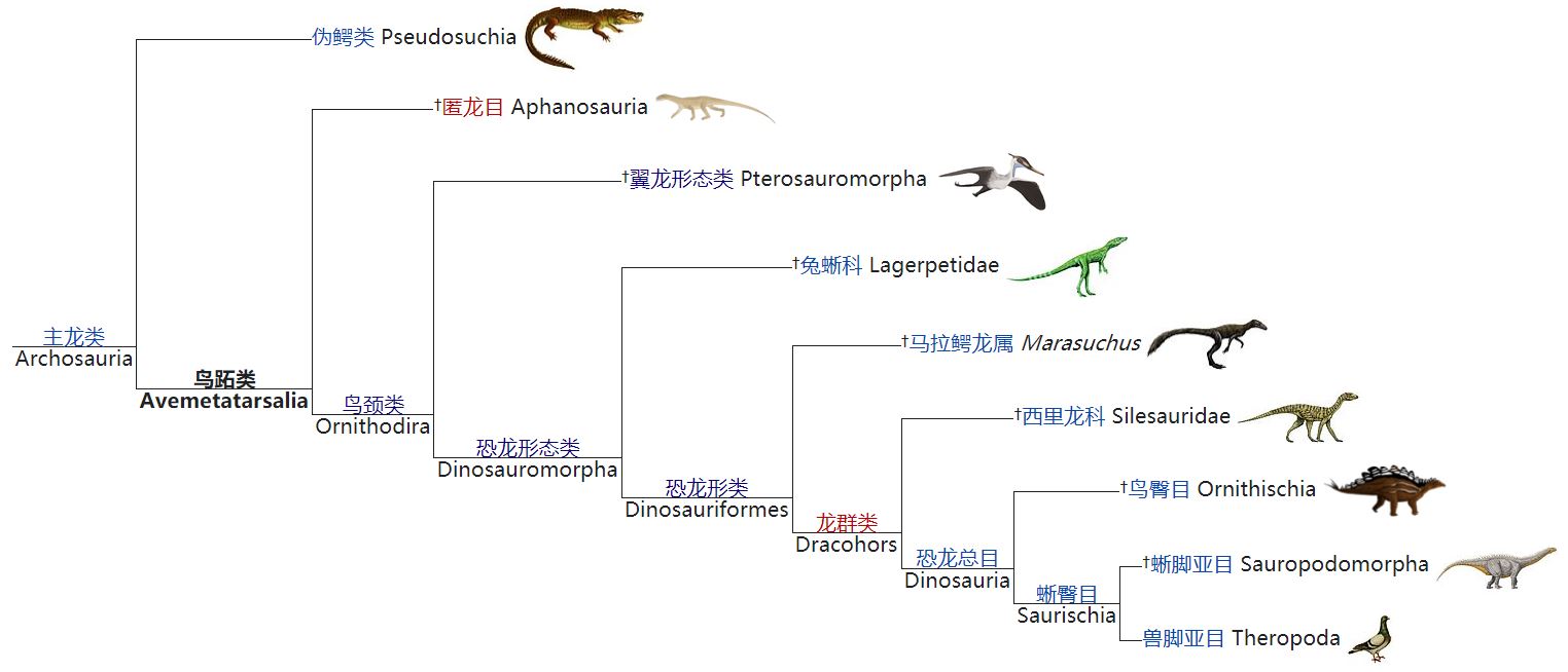 恐龙家族名称大全图片