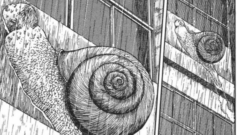 伊藤润二漩涡 视频在线观看 爱奇艺搜索