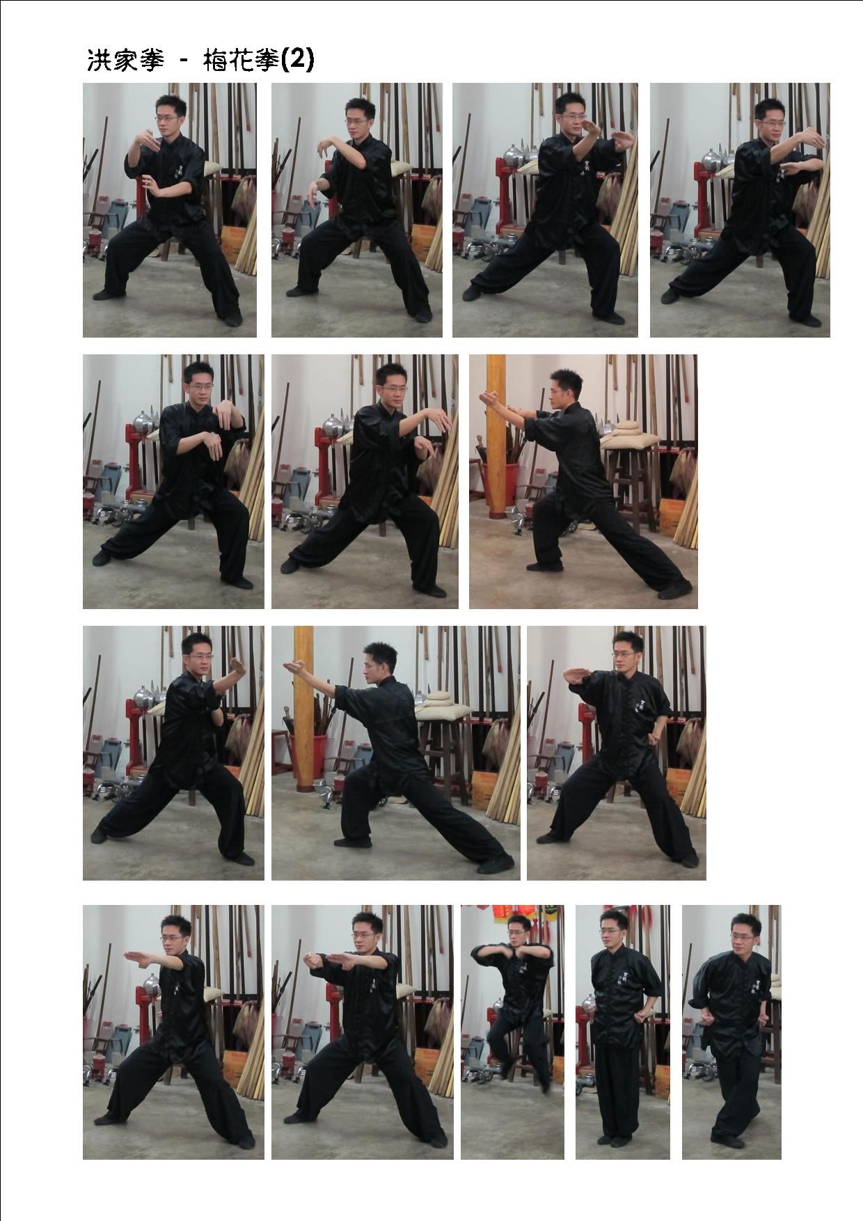 工字伏虎拳對拆伏虎樁鐵線拳九子連環拳蛇形拳一路五形拳虎豹拳虎鶴雙