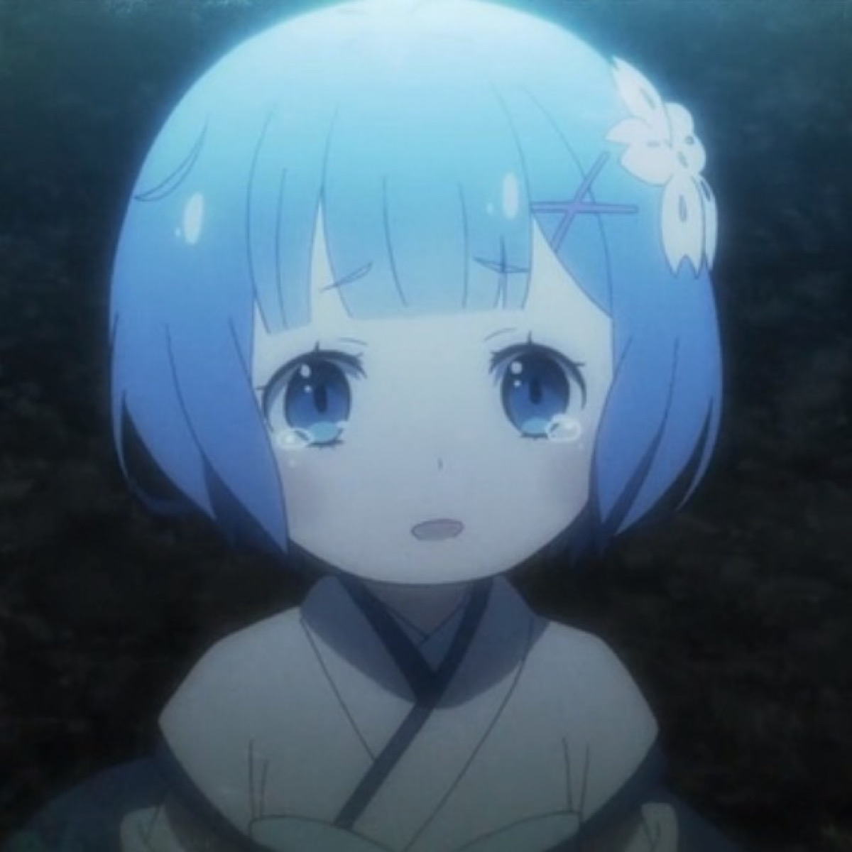 re从零开始的异世界生活第二季各位的老婆回来了