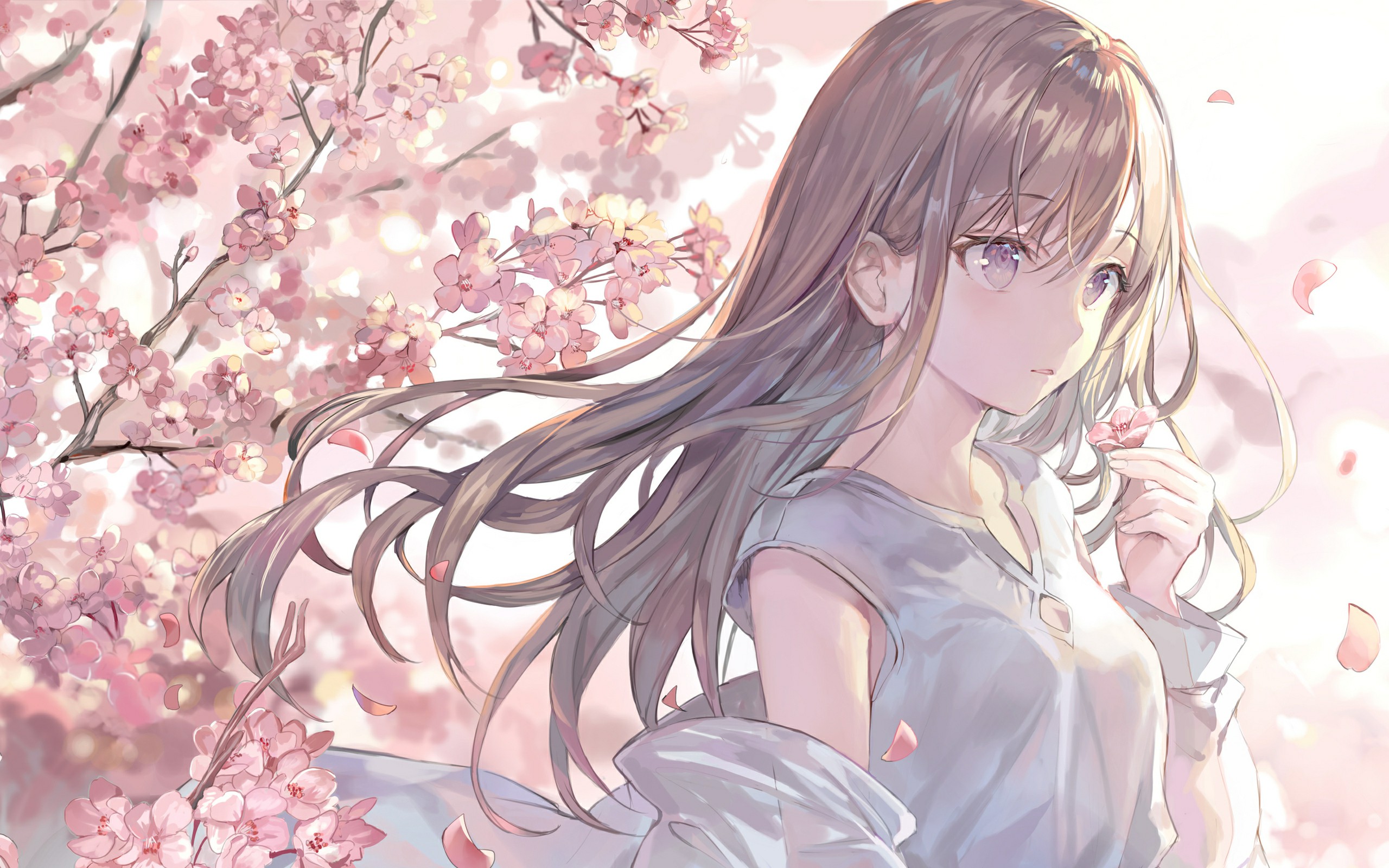 二次元壁纸(16) - acfun弹幕视频网 - 认真你就输啦 (?ω?