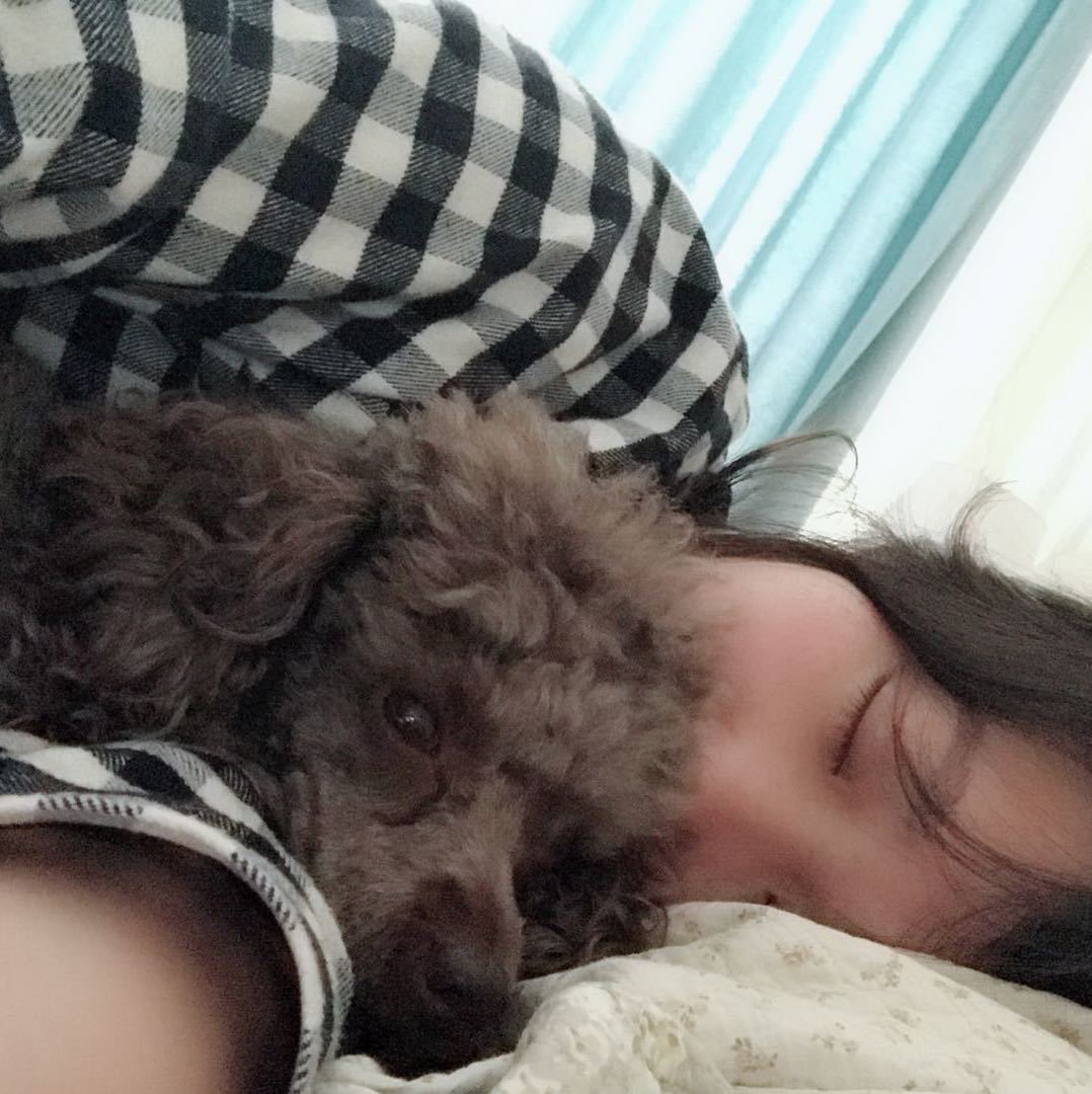 一日女友其实一日女友是怀里的那只