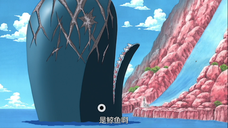 海贼王奇珍异兽多多益善