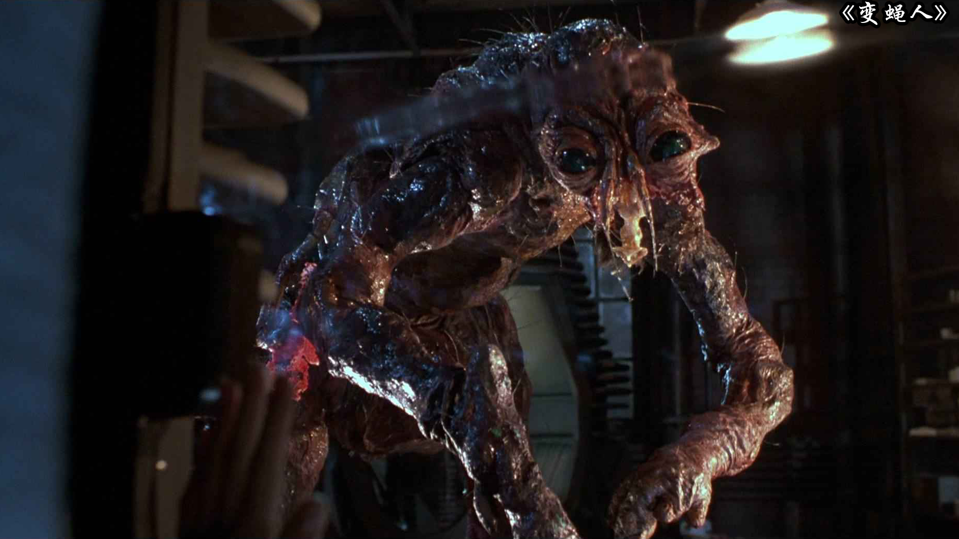 柯南伯格对应现实中的大卫·柯南伯格,他的影片是对观众承受力的考验