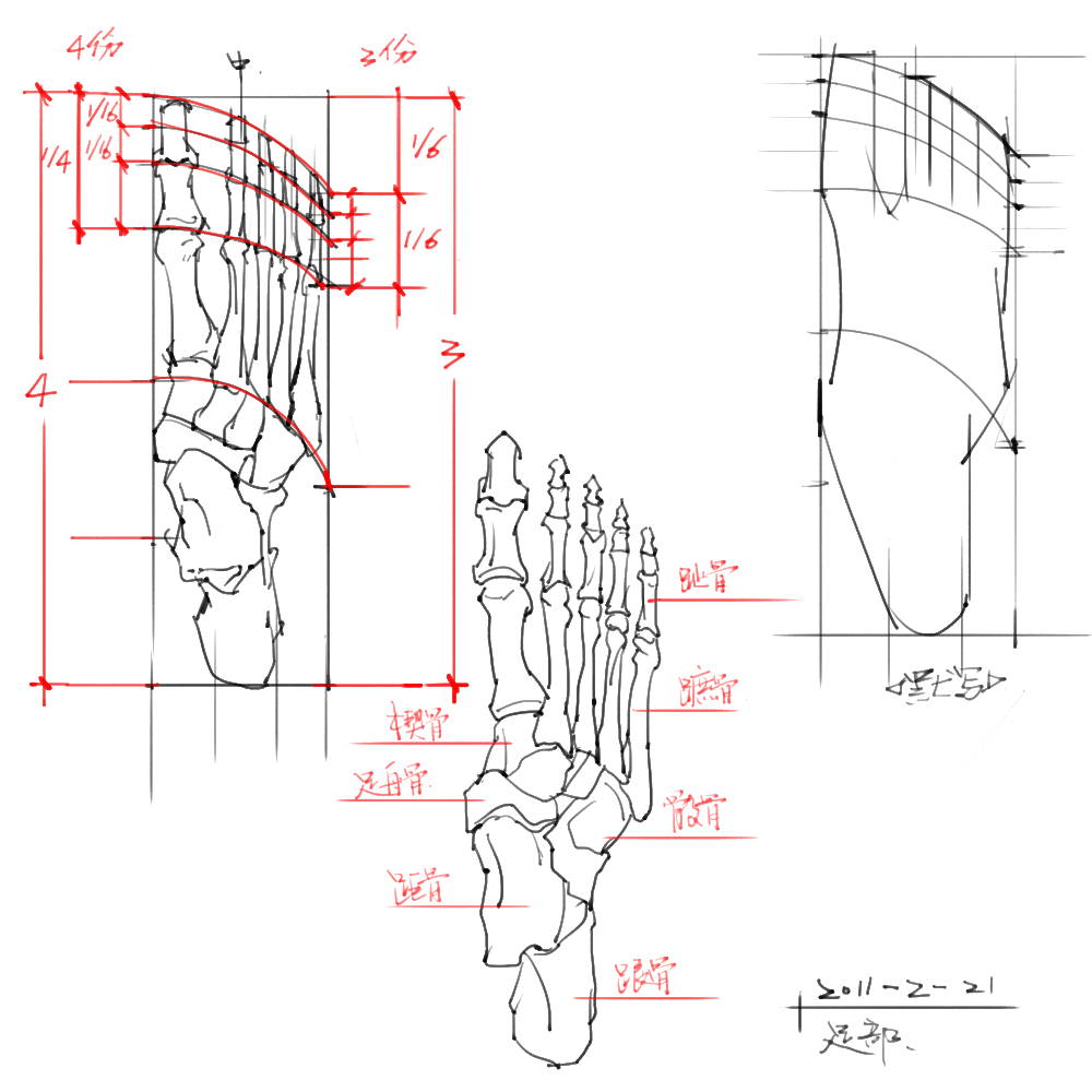 人体结构线稿分享