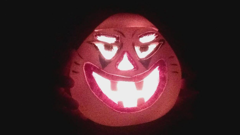 【我姓胡】没有什么是天生无用,柚子皮也能发热发光