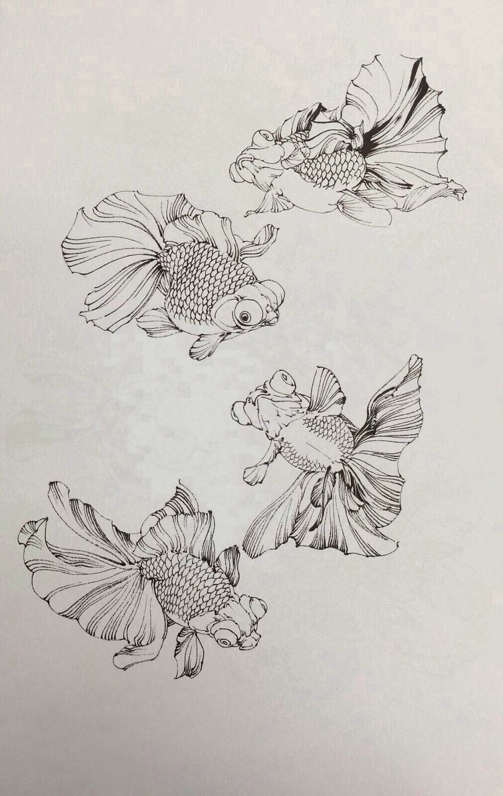 白描金鱼的画法生动的线条