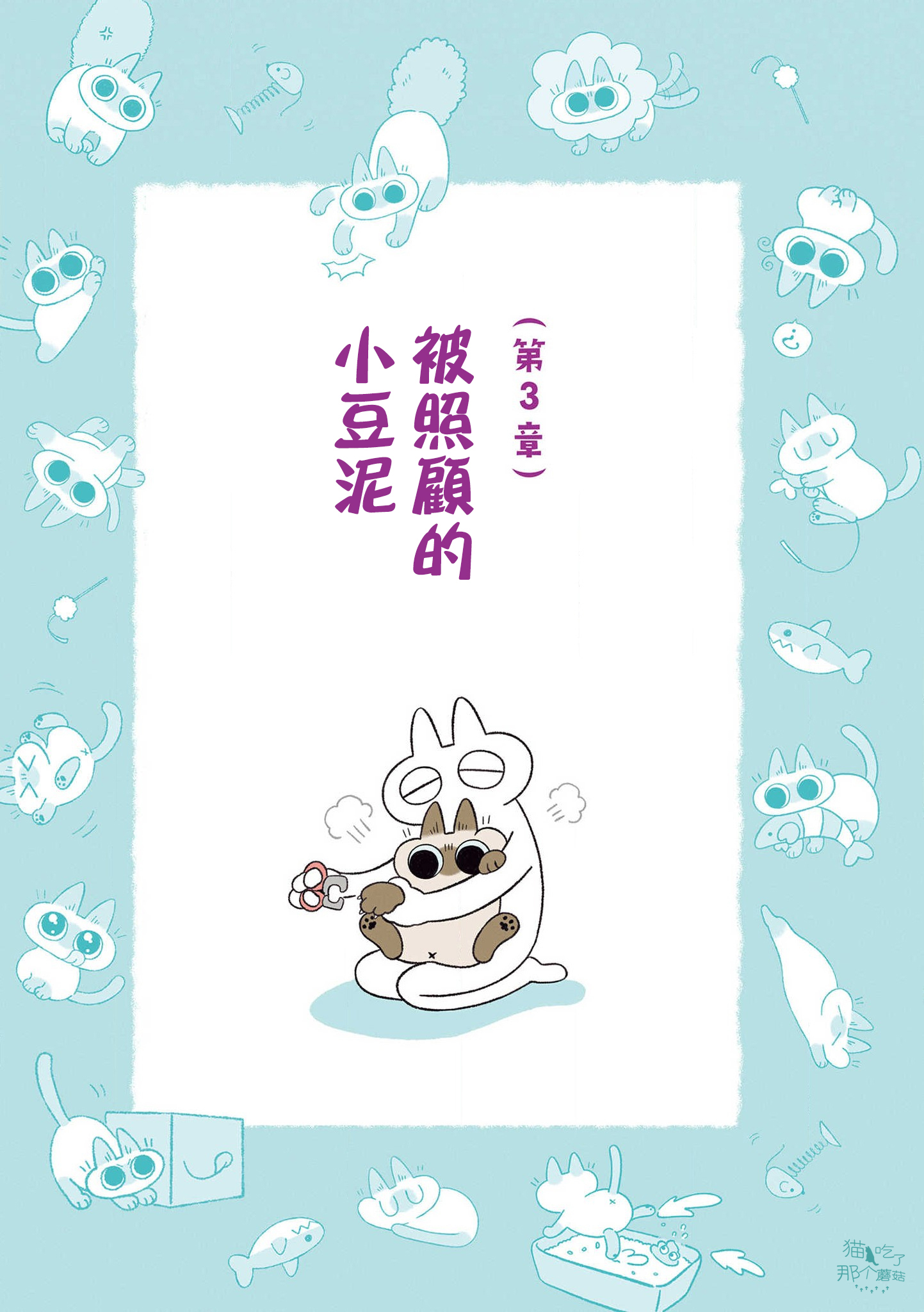 漫画暹罗猫小豆泥是世界的中心1112