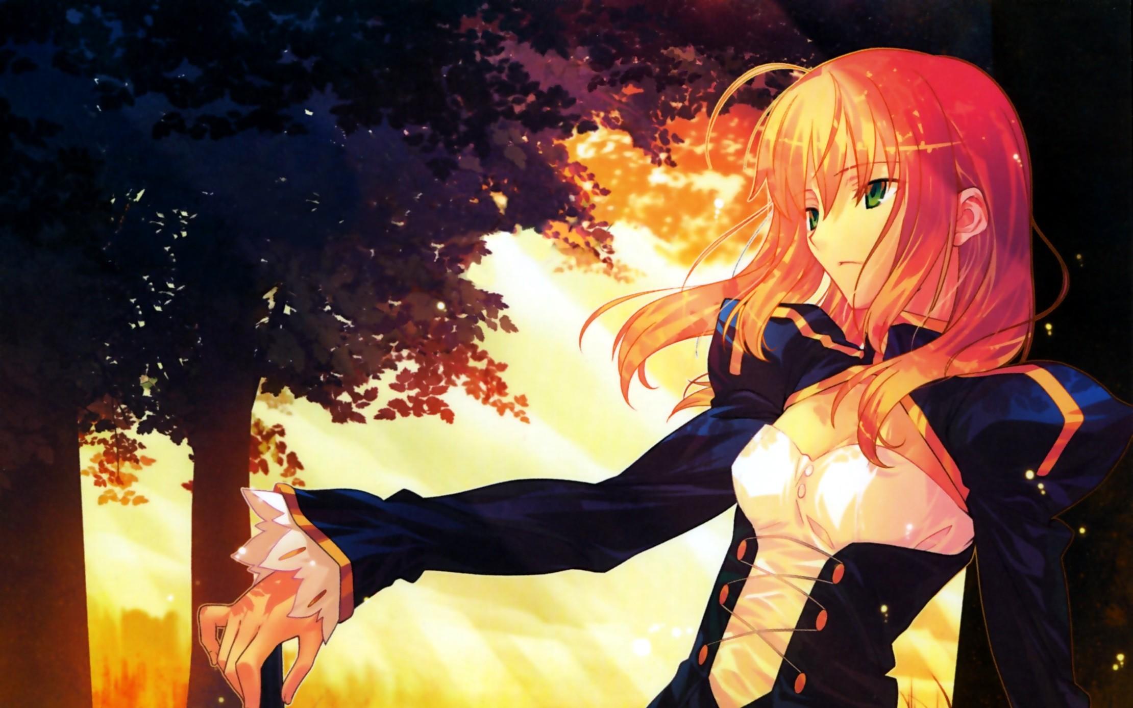 fatestaynight命运守护之夜圣杯战争セイバーsaber吾王图集