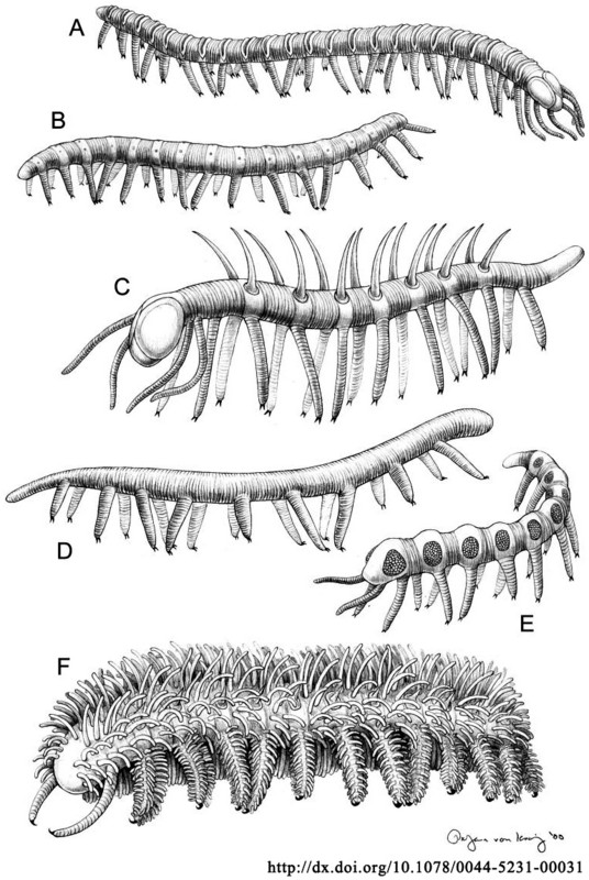 异虫生物质图片