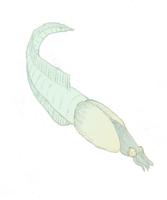 寻奇录古生物学三大妖孽内克虾塔利怪物提丰怪物