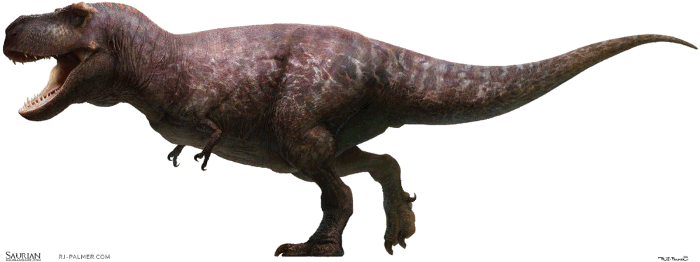 恐龙星球寻奇录蒙古三奇葩