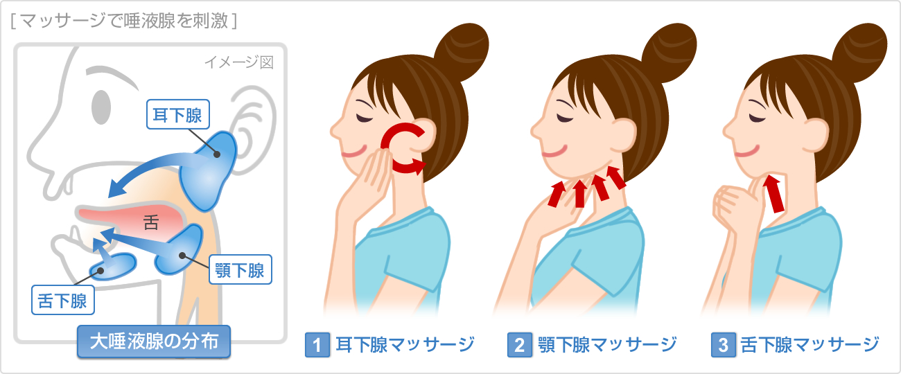 腮腺按摩将手指放在脸颊上,从后到前画一个圆圈颌下腺按摩用指尖从