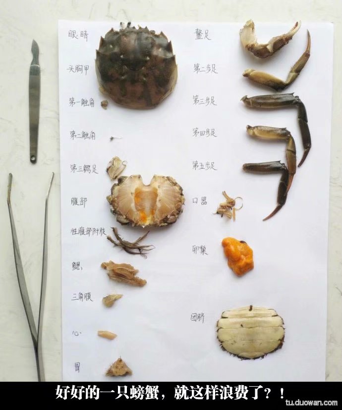 神吐槽~纪念当初的多玩图库~第十五期