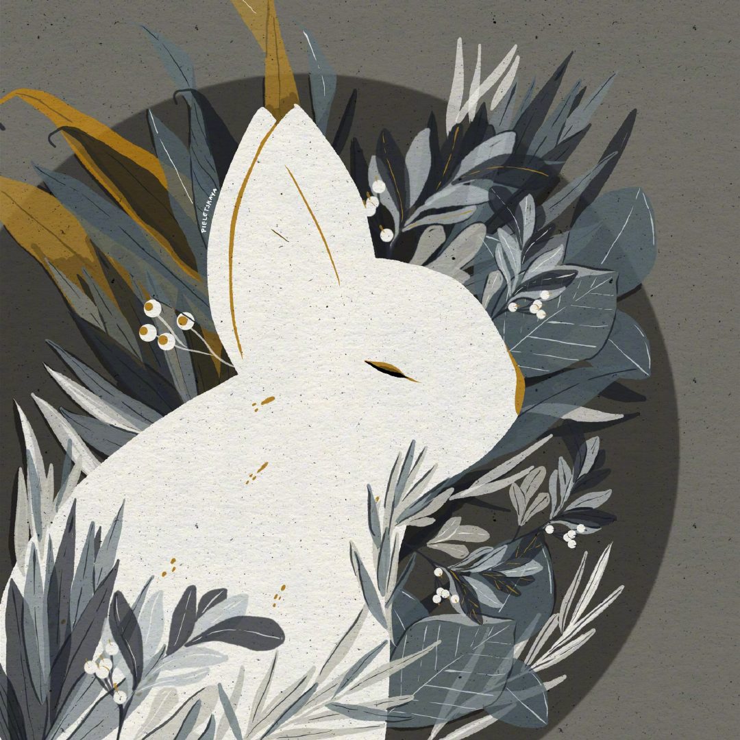 可耐萌萌哒小动物插画太有爱啦插画师yuliyapieletskaya