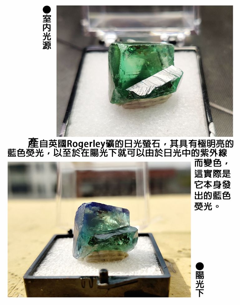 漫画 瑠璃的宝石 06