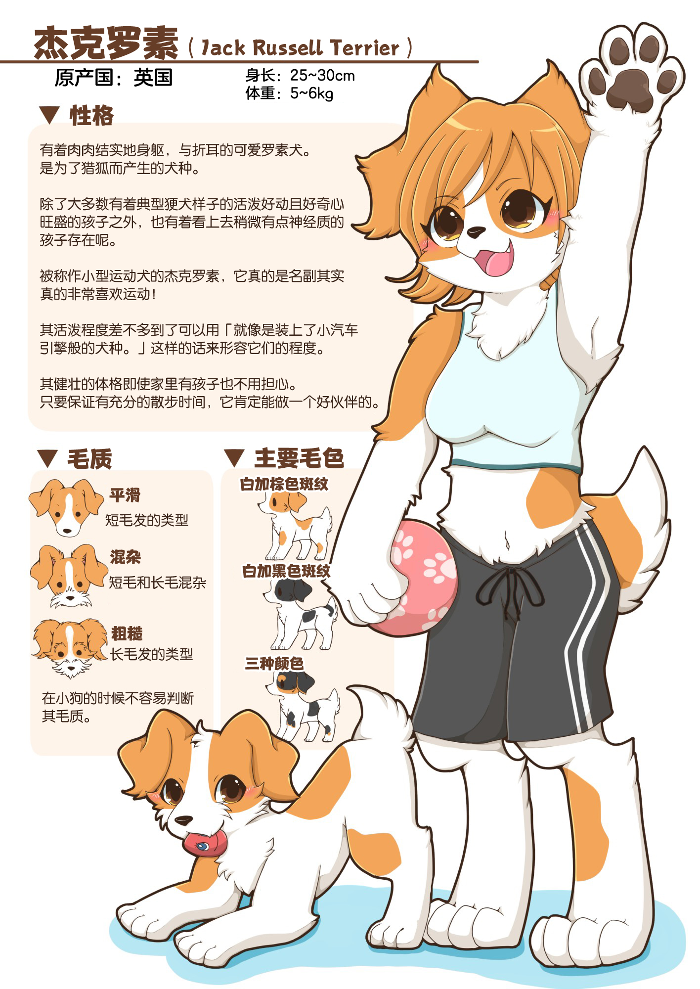 图集furry雌性兽人犬种图鉴