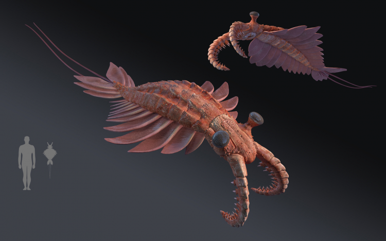 寻奇录奇虾恐虾纲我留了一手就让人类不知所措