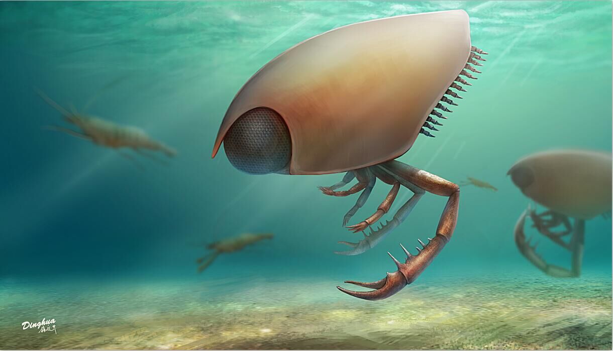 寻奇录古生物学三大妖孽内克虾塔利怪物提丰怪物