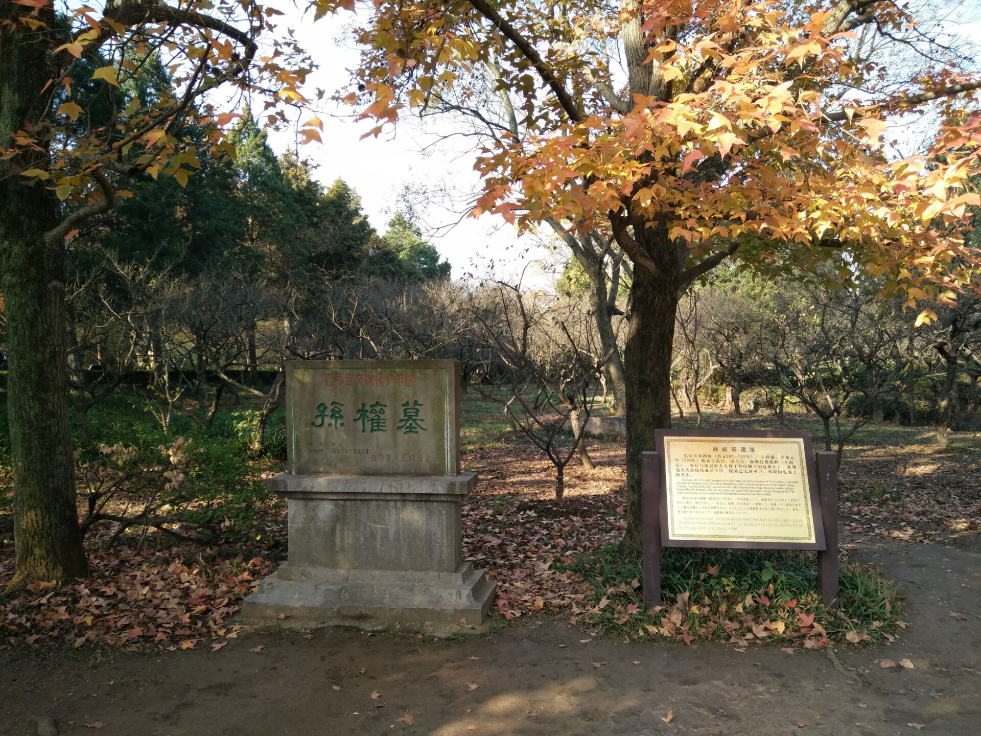 奔走在南京鐘山明孝陵