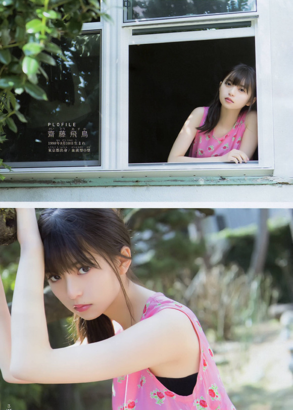 呆头飞鸟壁纸美图