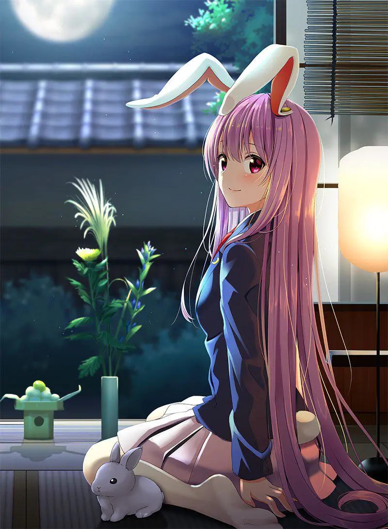 二次元美图分享第11期月兔铃仙