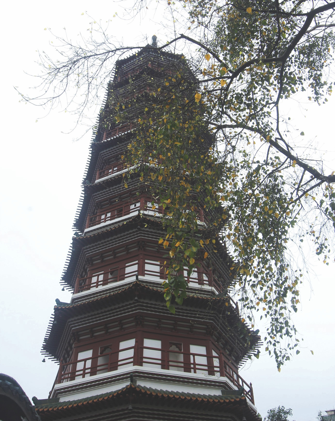 古寺 观 广州六榕寺